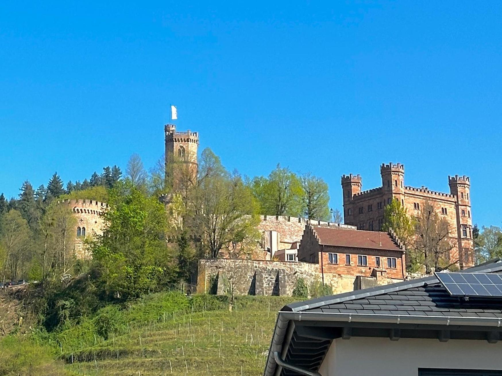 Ferienwohnung Mit Schlossblick Bei Offenburg Ortenberg  Экстерьер фото